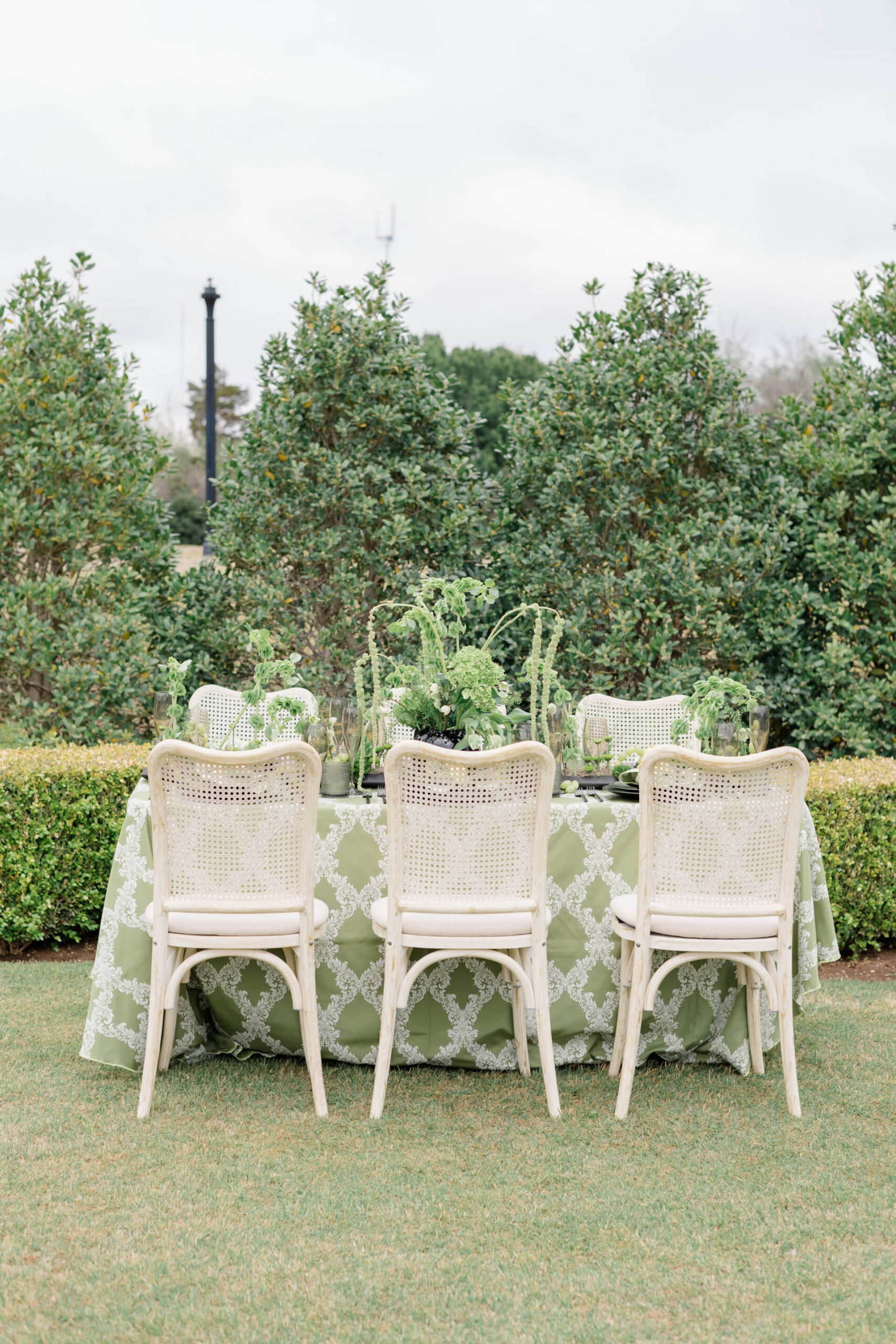 Emma Chairs in front of foxtrot apple linen